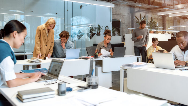 Wesentliche Services zwischen dem Erfolg Ihres neuen Unternehmens